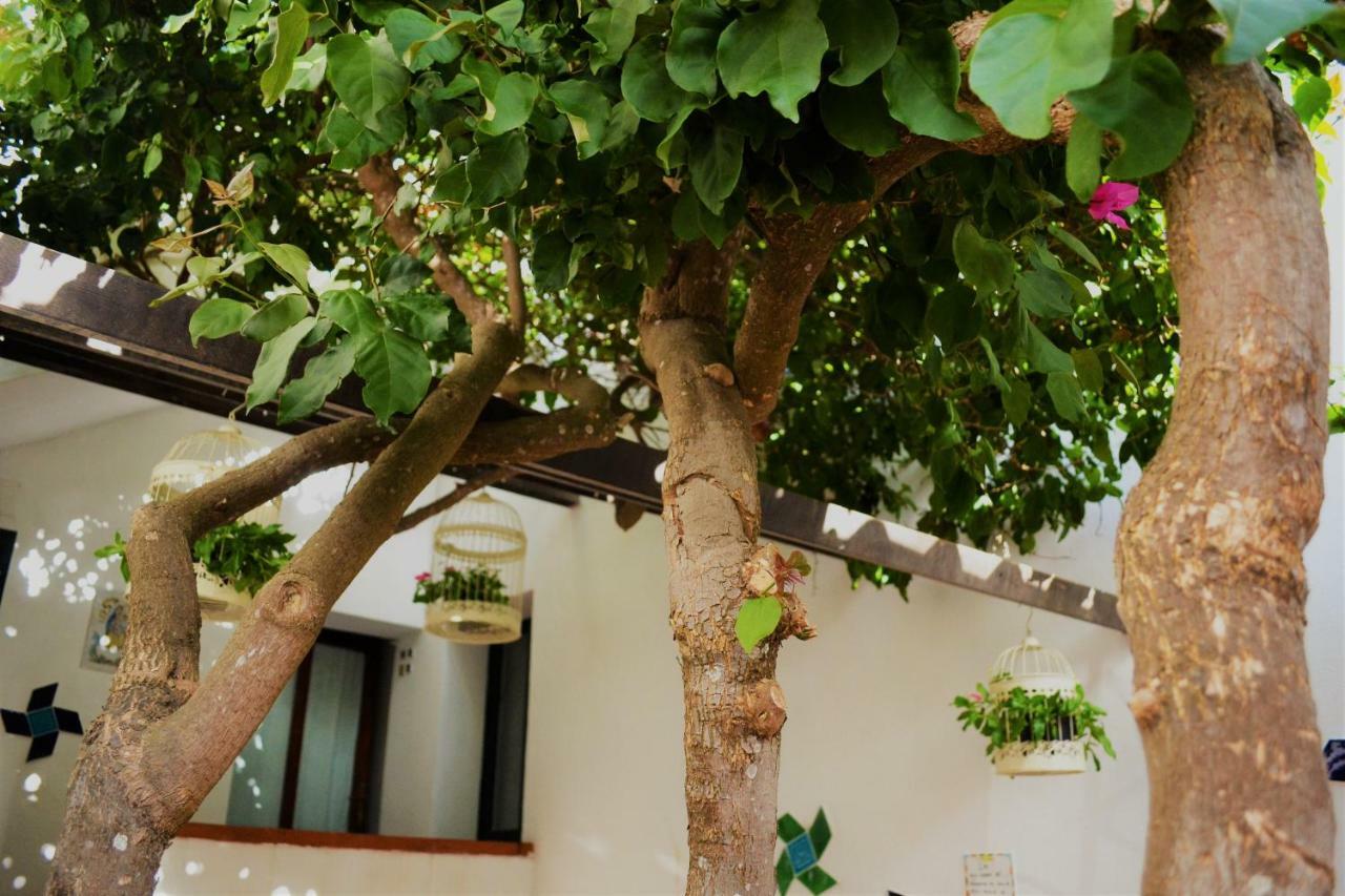Casa Gandamar B&B Santa Teresa Gallura Exterior foto