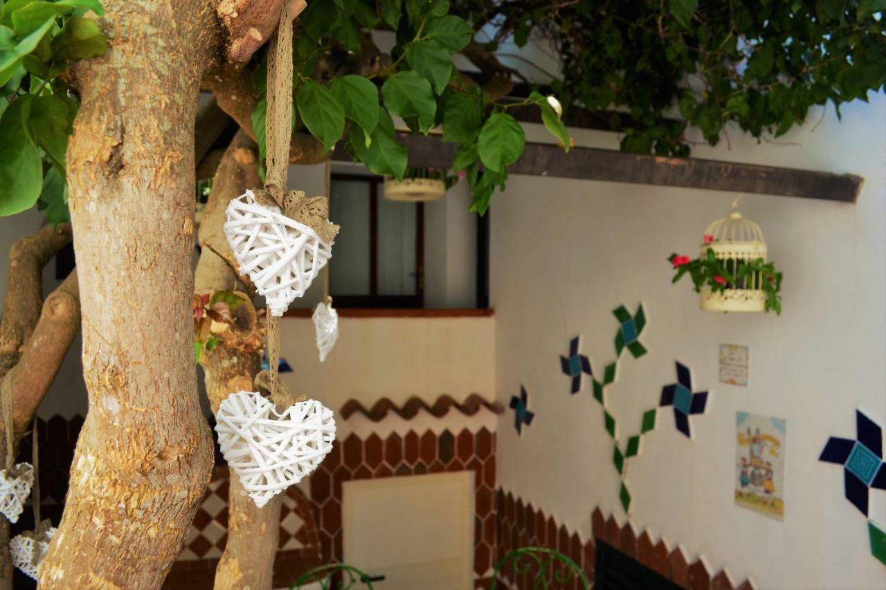 Casa Gandamar B&B Santa Teresa Gallura Exterior foto