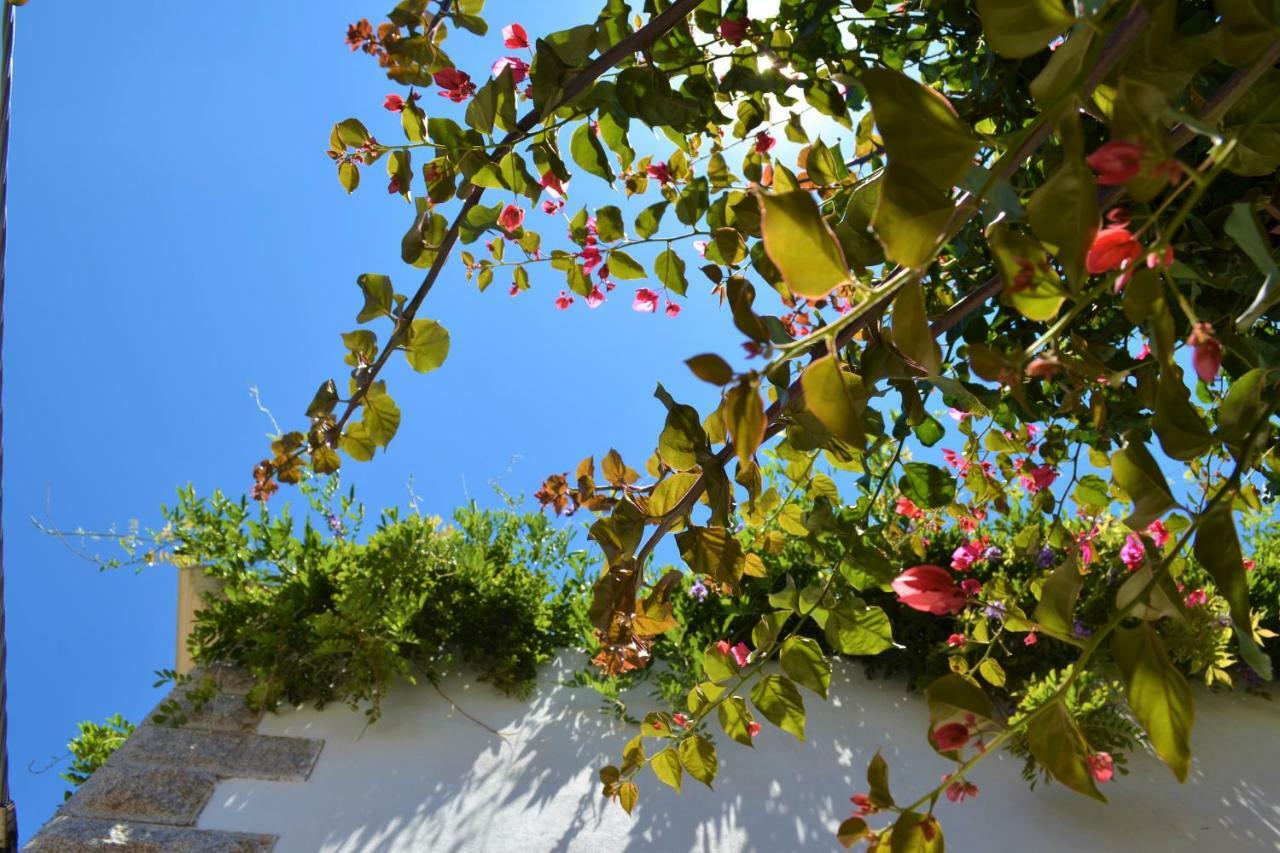Casa Gandamar B&B Santa Teresa Gallura Exterior foto